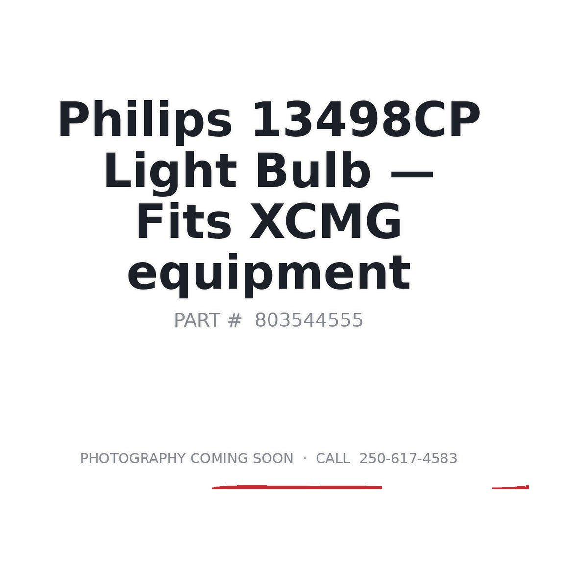 13498CP 13498CP Light Bulbs