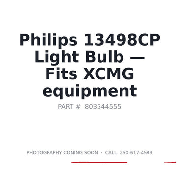 13498CP 13498CP Light Bulbs