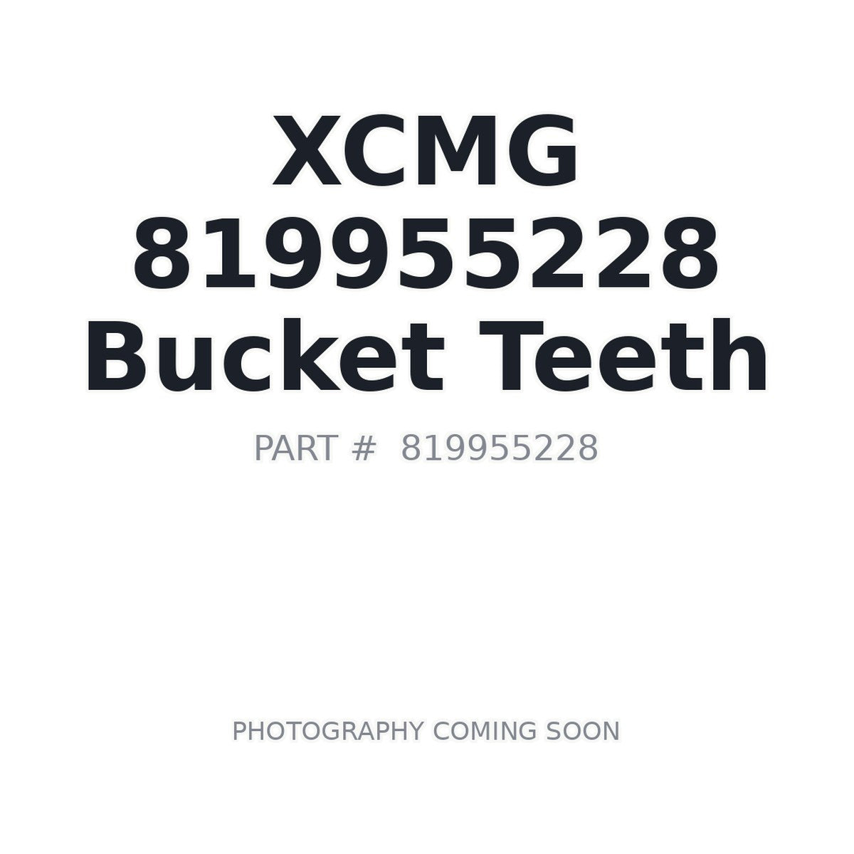 819955228 XCMG Bucket Teeth