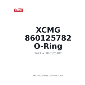 XCMG 860125782 O-ring | Fits XCMG XE470CK | Stocked in BC, Ships Canada-Wide