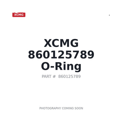 860125789 XCMG O-ring