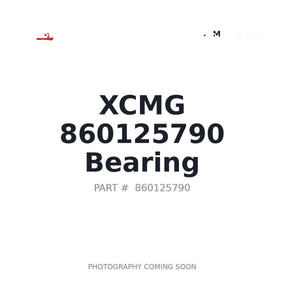 XCMG 860125790 Bearing | Stocked in BC, Ships Canada-Wide