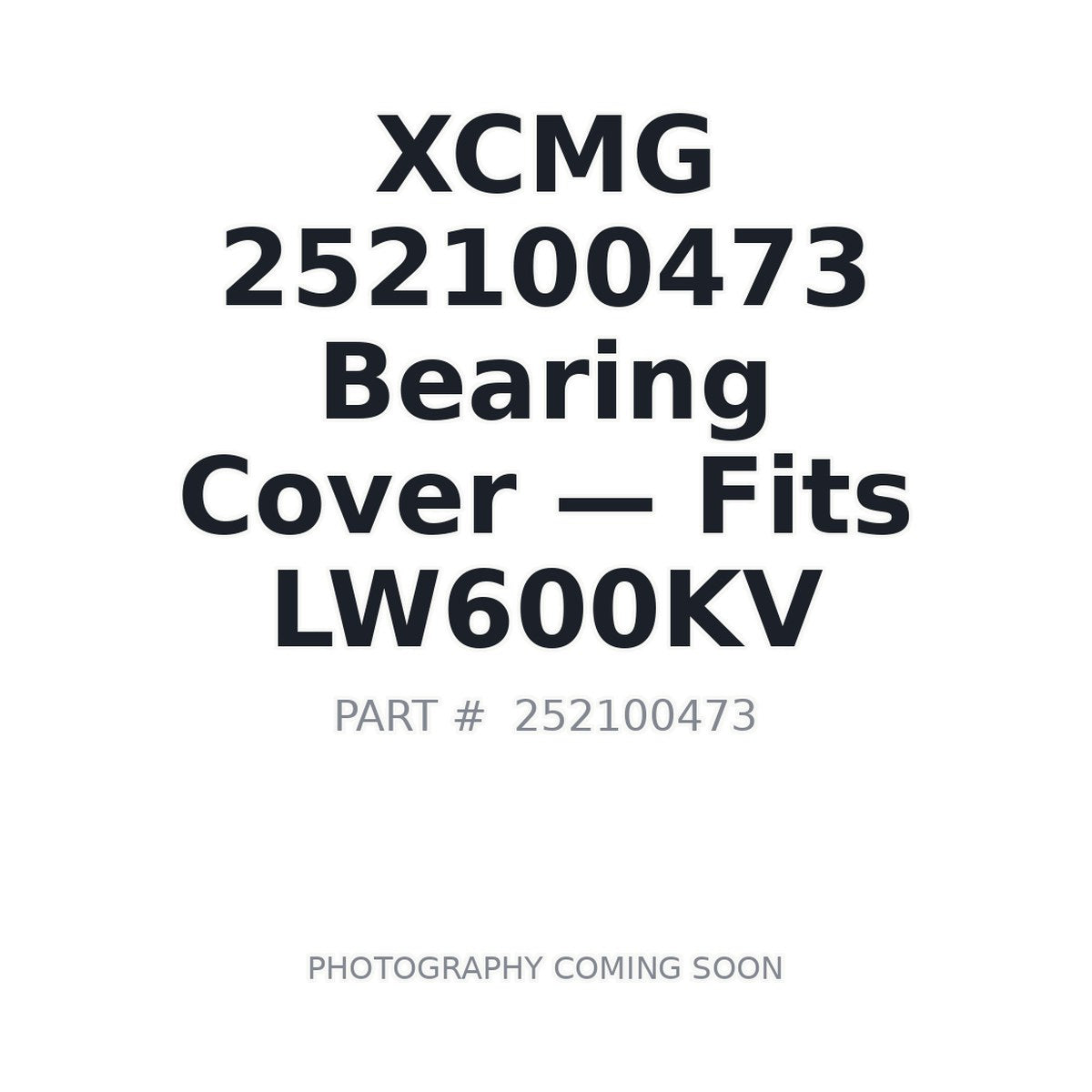252100473 XCMG Bearing Covers