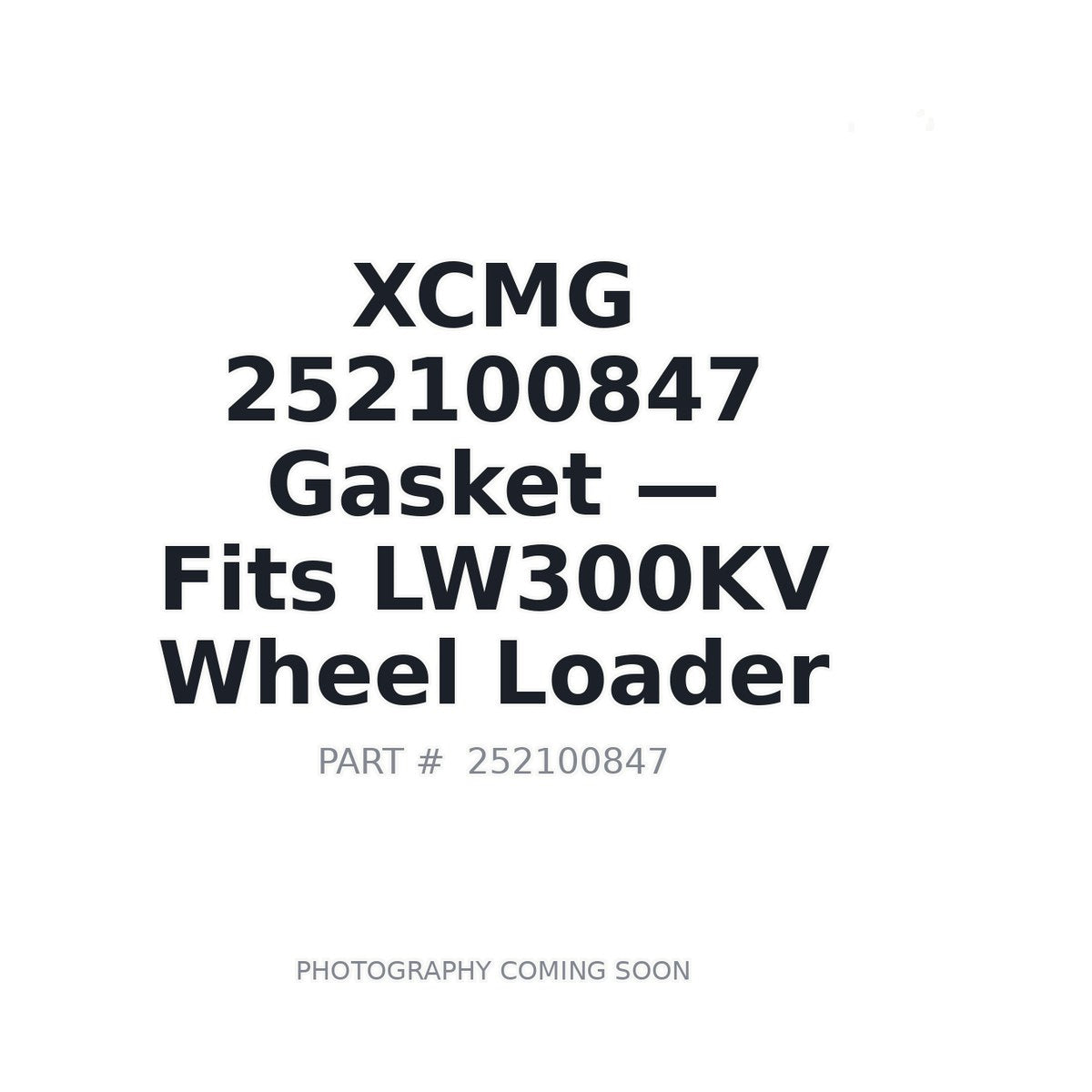 252100847 XCMG Gaskets