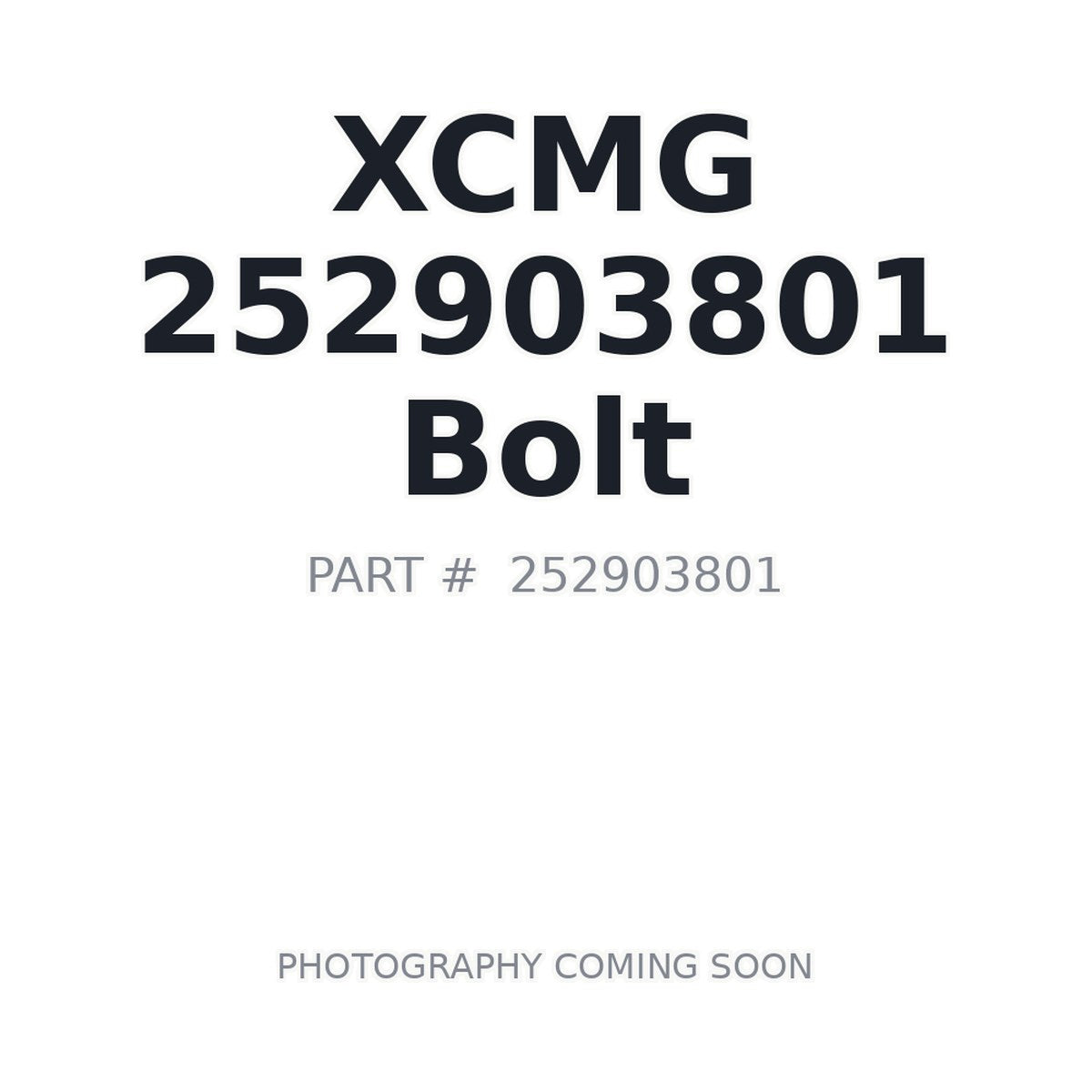 252903801 XCMG Bolt