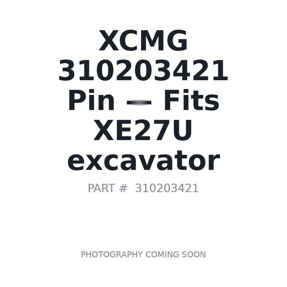 310203421 XCMG Pins