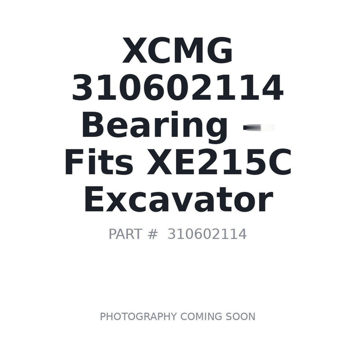 310602114 XCMG Bearings