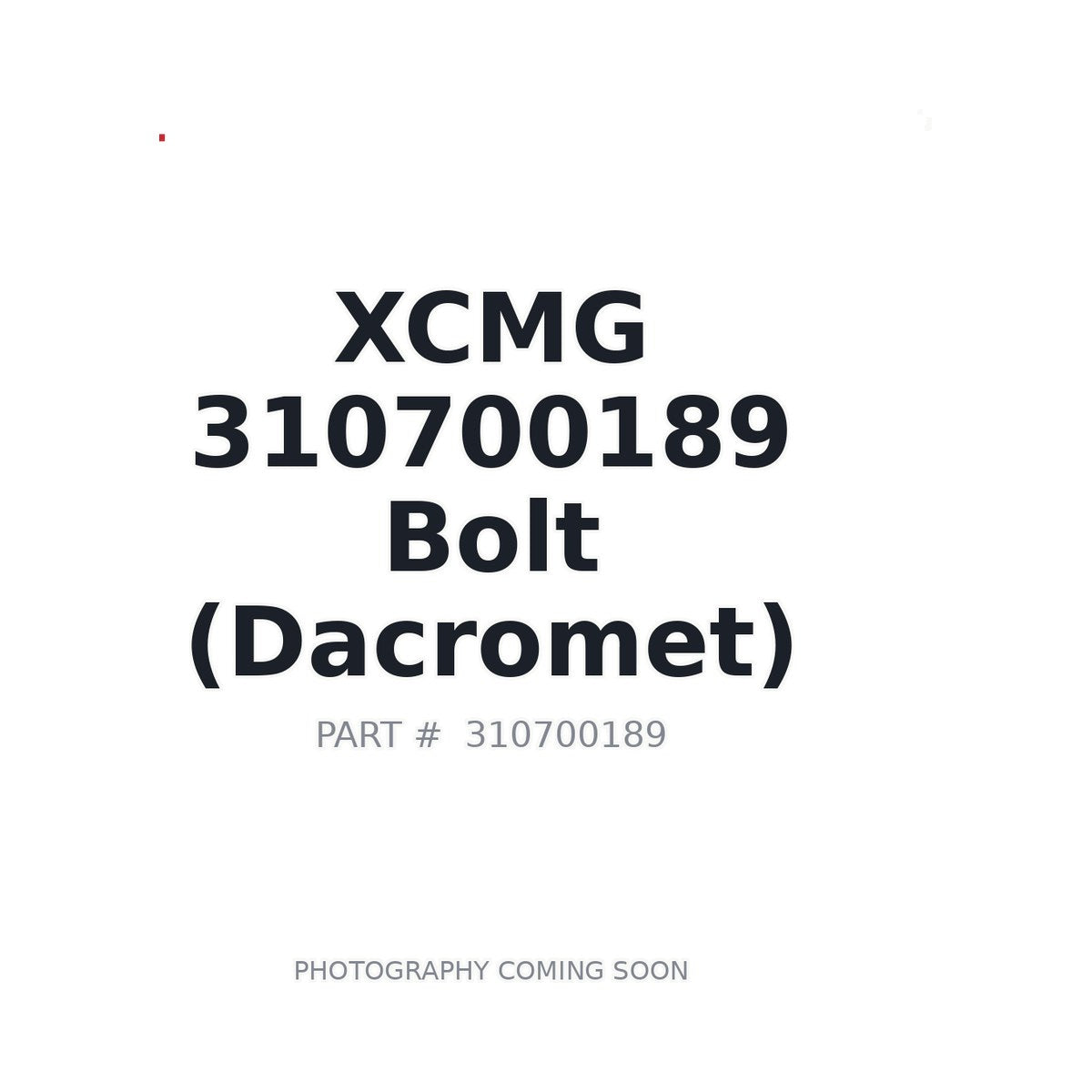 310700189 XCMG Bolt