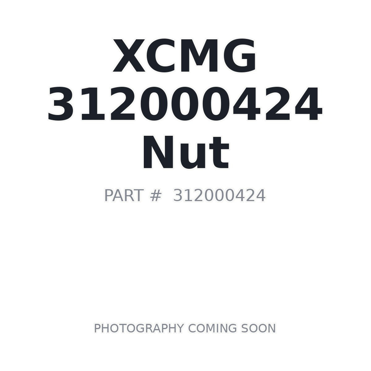 312000424 XCMG Nut