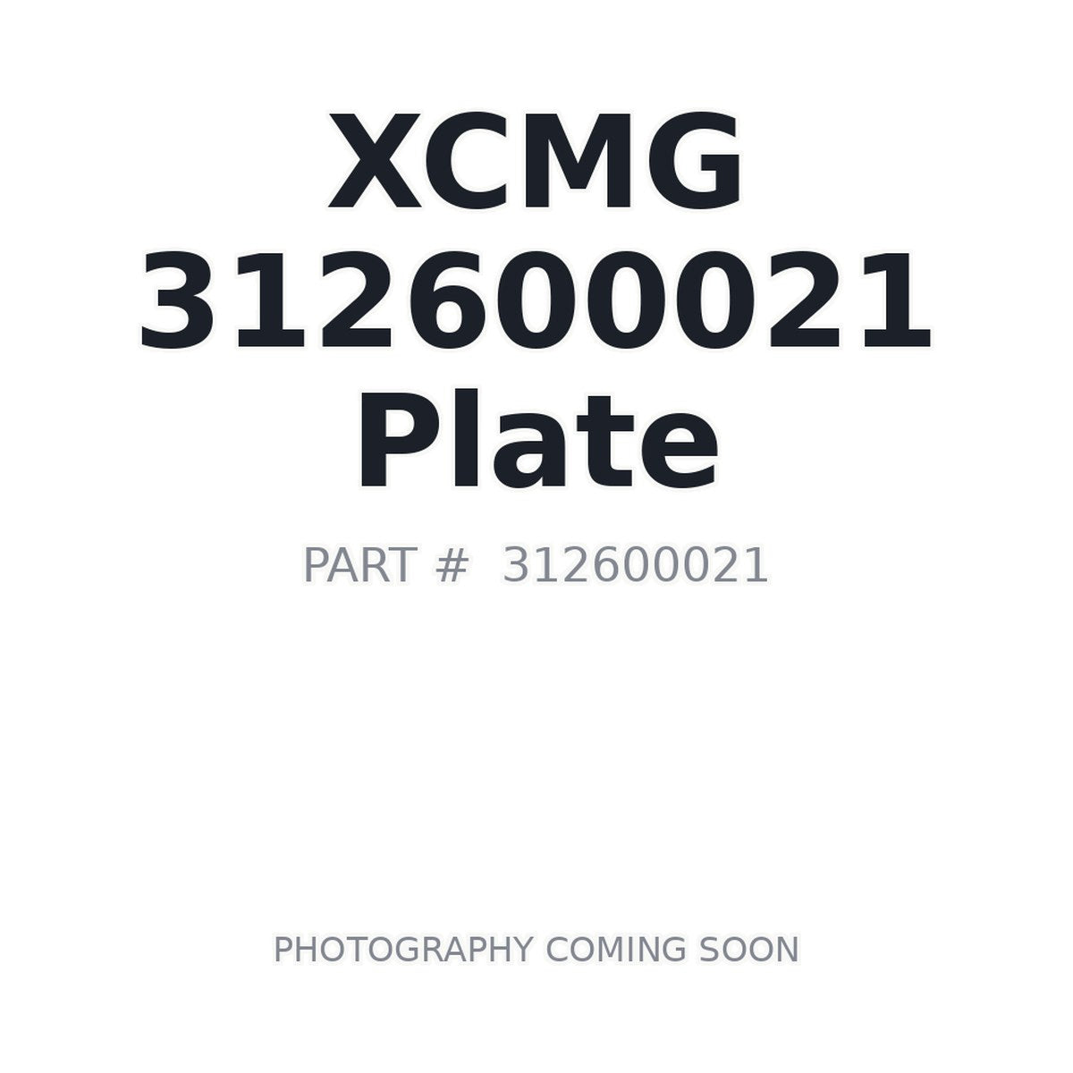 312600021 XCMG Plate