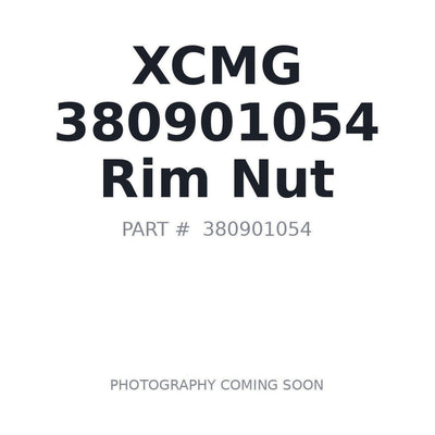 380901054 XCMG Rim Nut