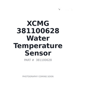 XCMG 381100628 Sensor | Stocked in BC, Ships Canada-Wide