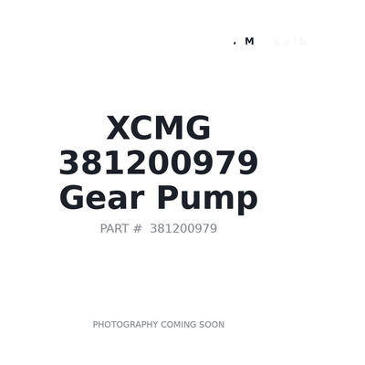 381200979 XCMG Pump