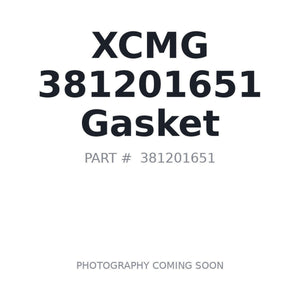 XCMG 381201651 Gasket | Stocked in BC, Ships Canada-Wide