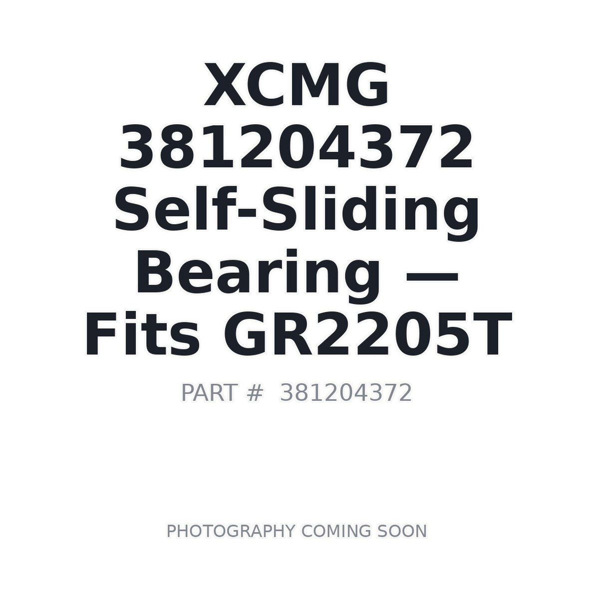 381204372 XCMG Bearings