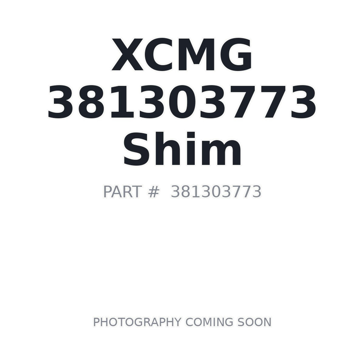 381303773 XCMG Shim