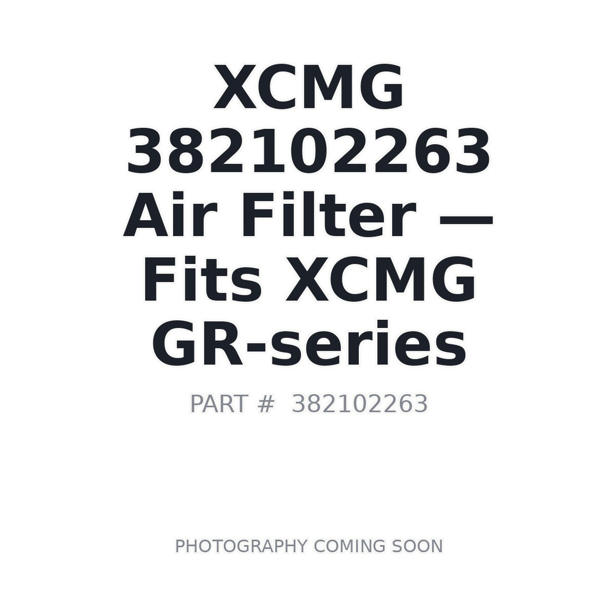 382102263 XCMG Filters . Fits GR-series