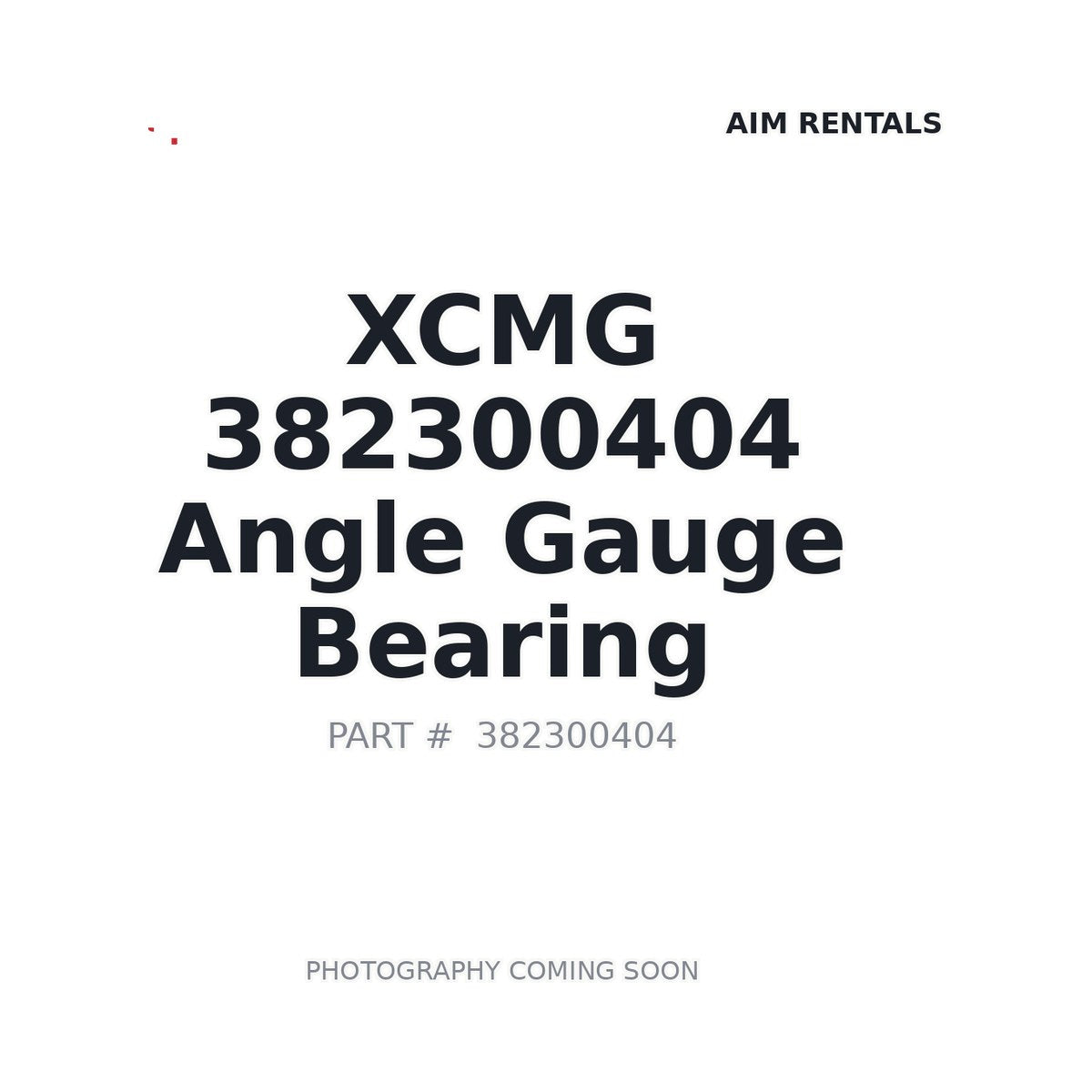 382300404 XCMG Bearing