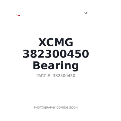 382300450 XCMG Bearing