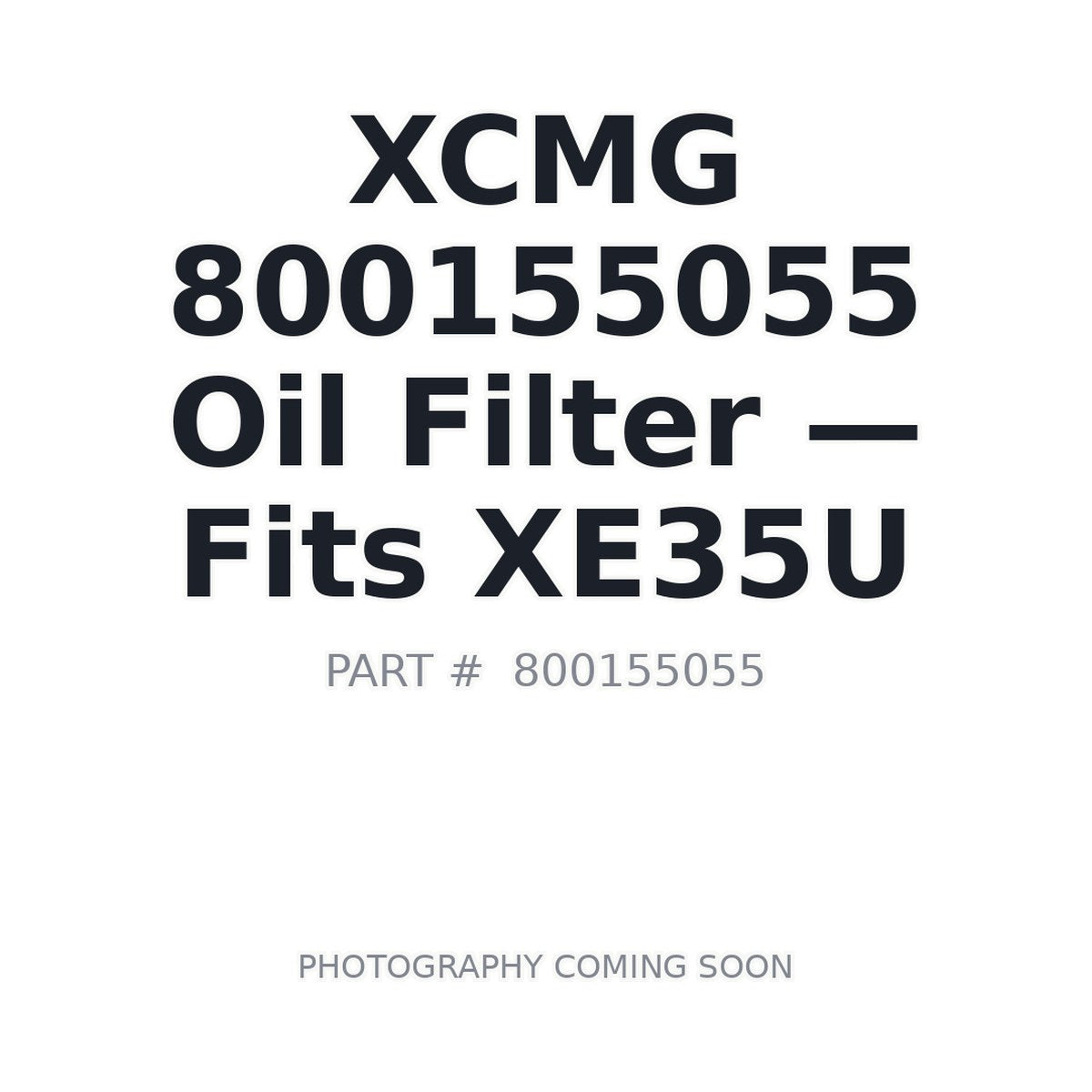 800155055 XCMG Filters