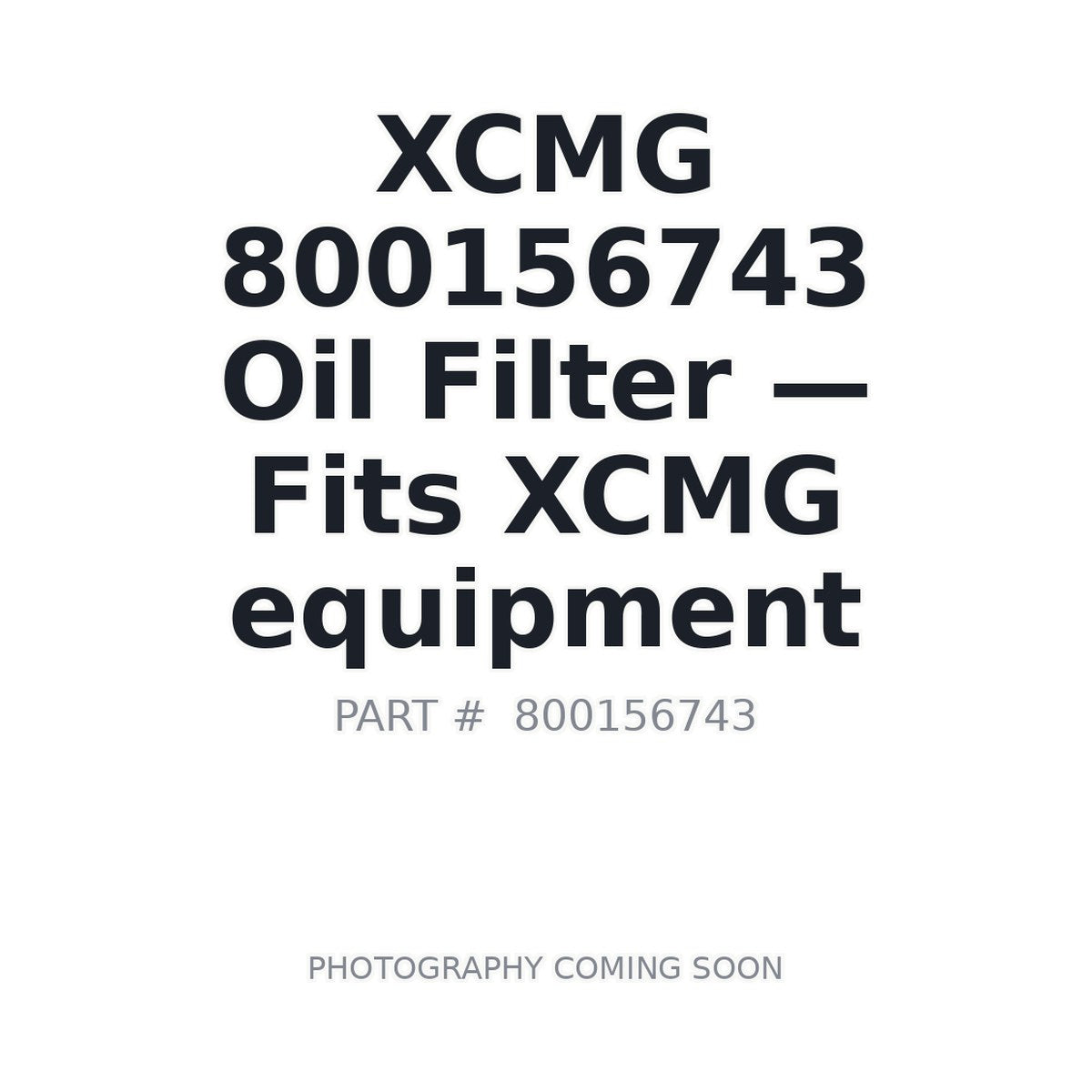 800156743 XCMG Machine Oil Filter