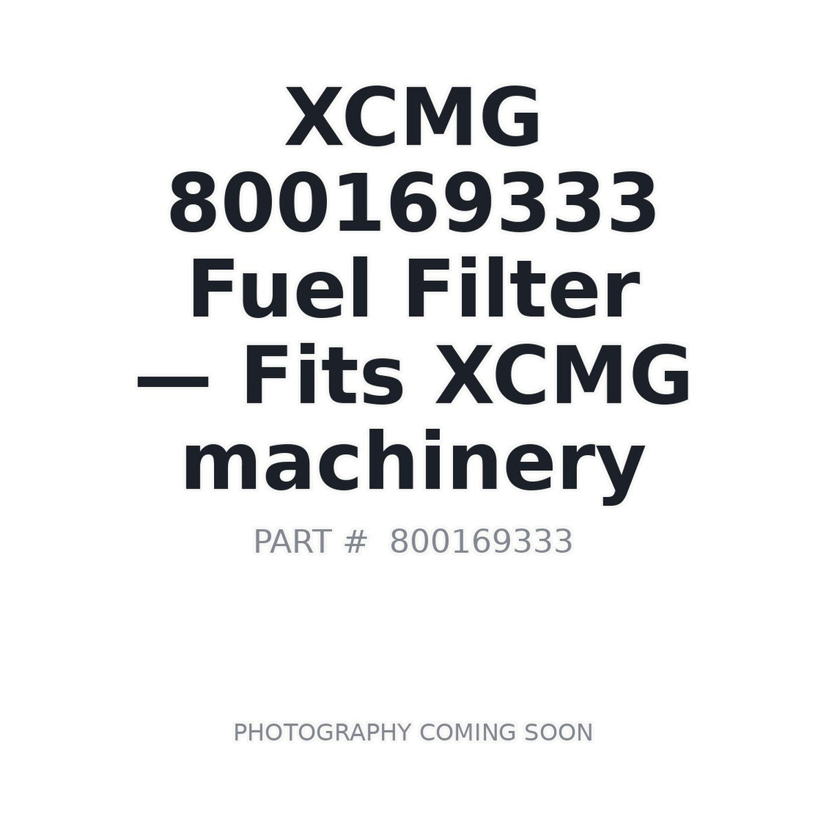 800169333 XCMG Filters