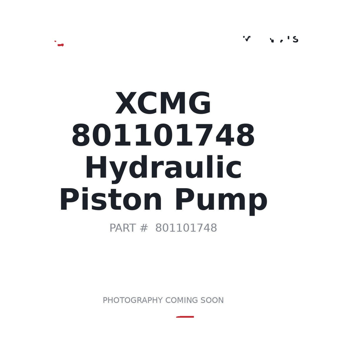 801101748 XCMG Pump