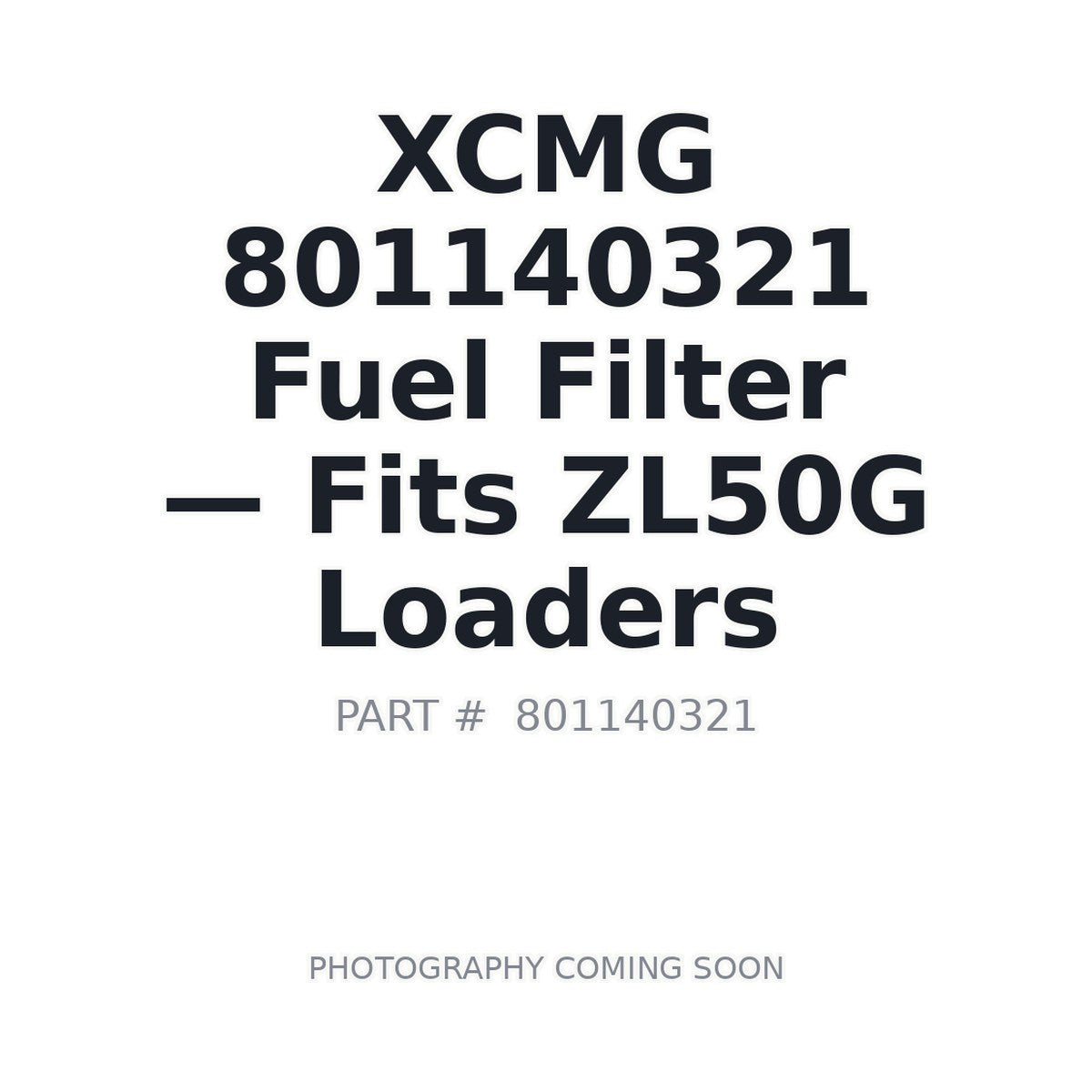 801140321 XCMG Filters