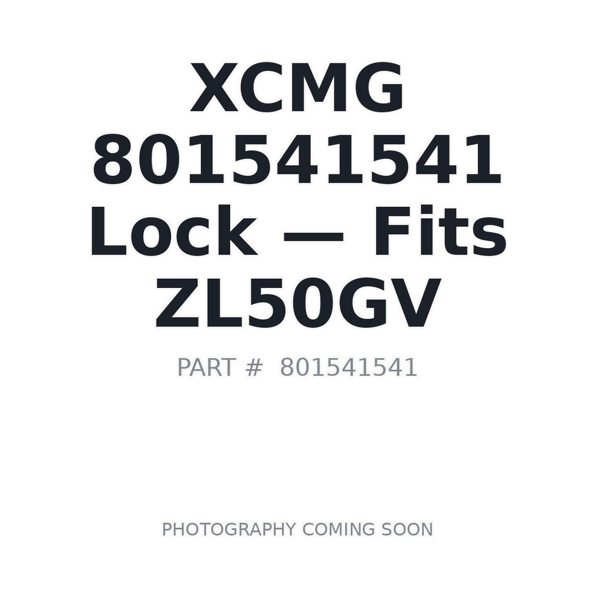 801541541 XCMG Locks