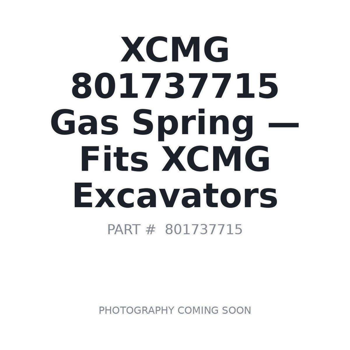 801737715 XCMG Gas Springs