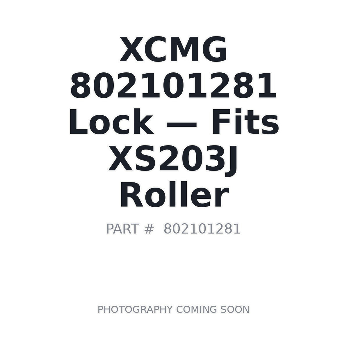 802101281 XCMG Cab Locks