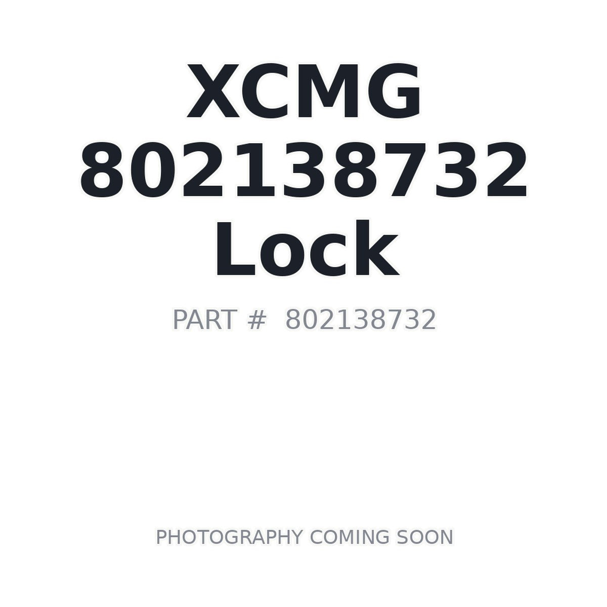 802138732 XCMG Lock