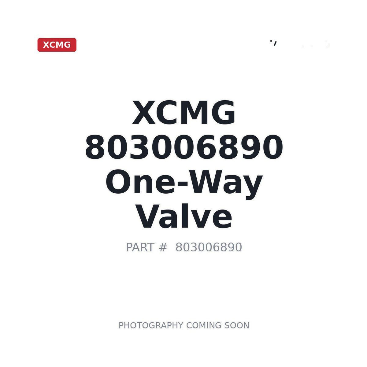 803006890 XCMG Valve