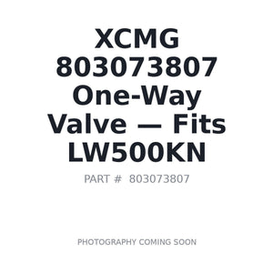 XCMG 803073807 Hydraulic Valves | Fits XCMG LW500KN | Stocked in BC, Ships Canada-Wide