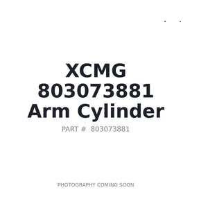 XCMG 803073881 Cylinder | Stocked in BC, Ships Canada-Wide