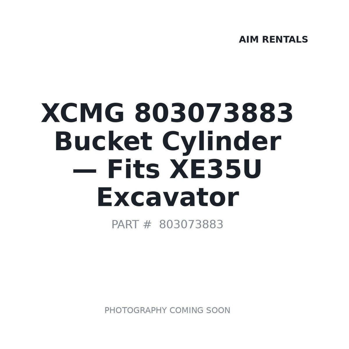803073883 XCMG Hydraulic Cylinders