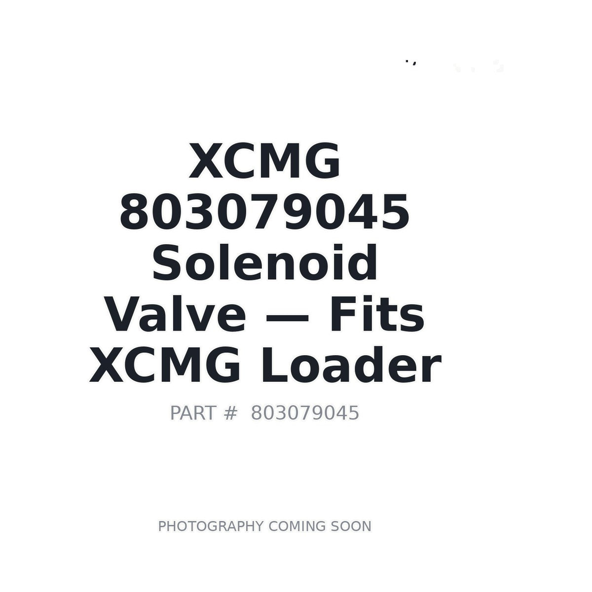 803079045 XCMG Hydraulic Valves