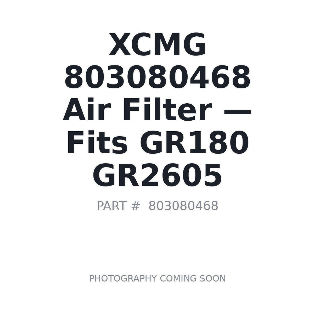 803080468 XCMG Filters