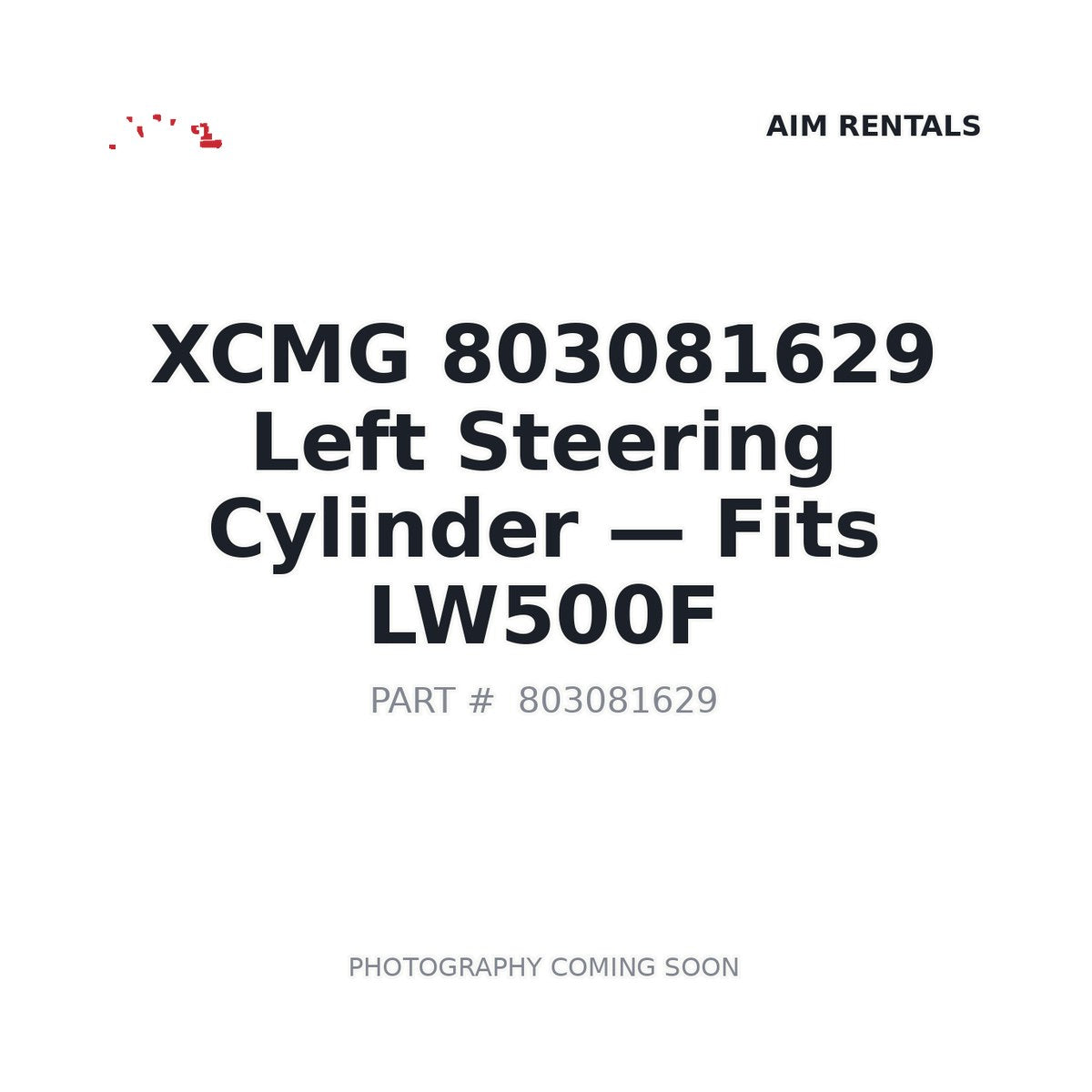 803081629 XCMG Hydraulic Cylinders