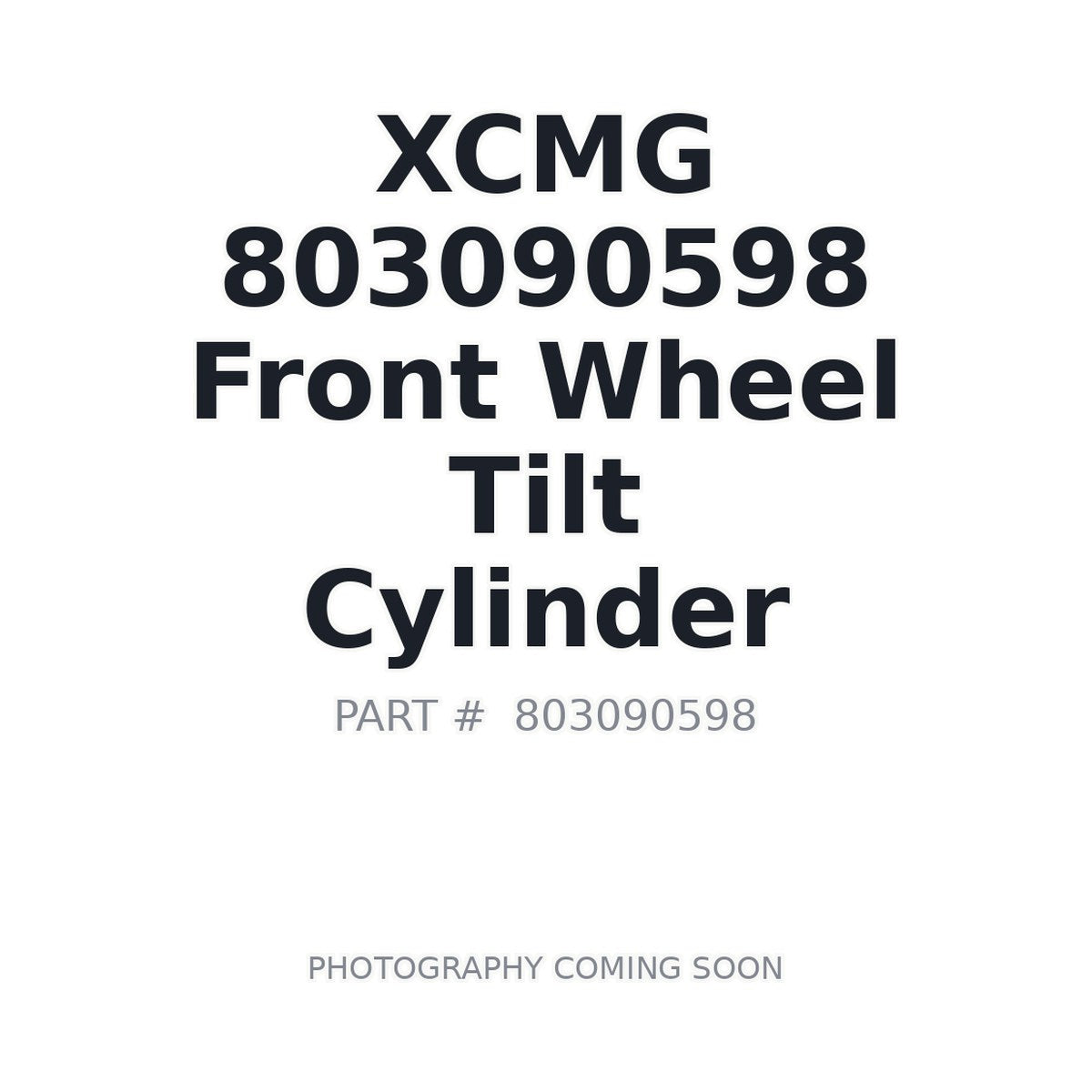 803090598 XCMG Cylinder