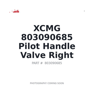 803090685 XCMG Valve