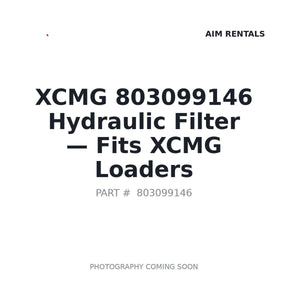 XCMG 803099146 Filters | Fits XCMG XC968-EV | Stocked in BC, Ships Canada-Wide