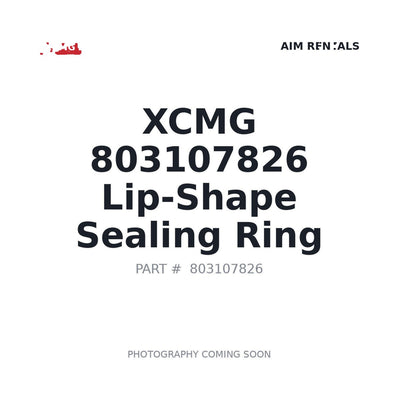 803107826 XCMG O-ring