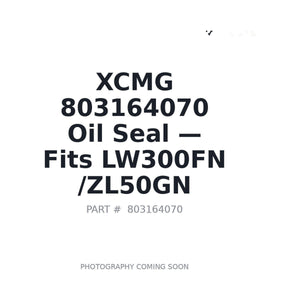 XCMG 803164070 Hydraulic Seals | Fits XCMG LW300FN, XCMG ZL50GN | Stocked in BC, Ships Canada-Wide