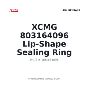 XCMG 803164096 O-ring | Stocked in BC, Ships Canada-Wide