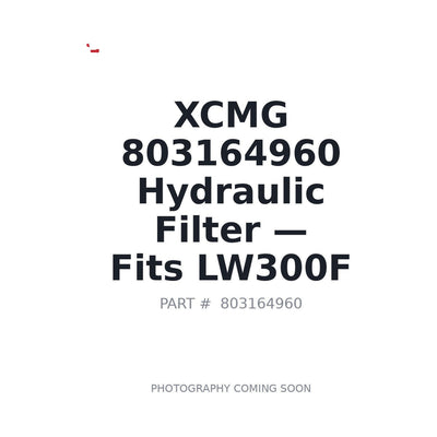 803164960 XCMG Filters