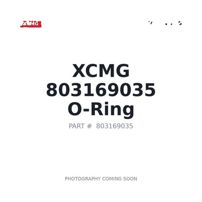 803169035 XCMG O-ring
