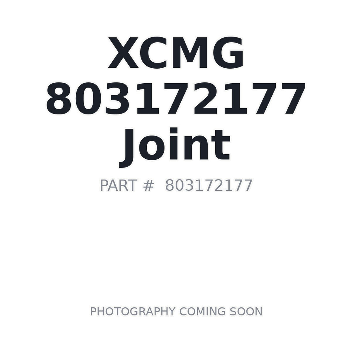 803172177 XCMG Hose