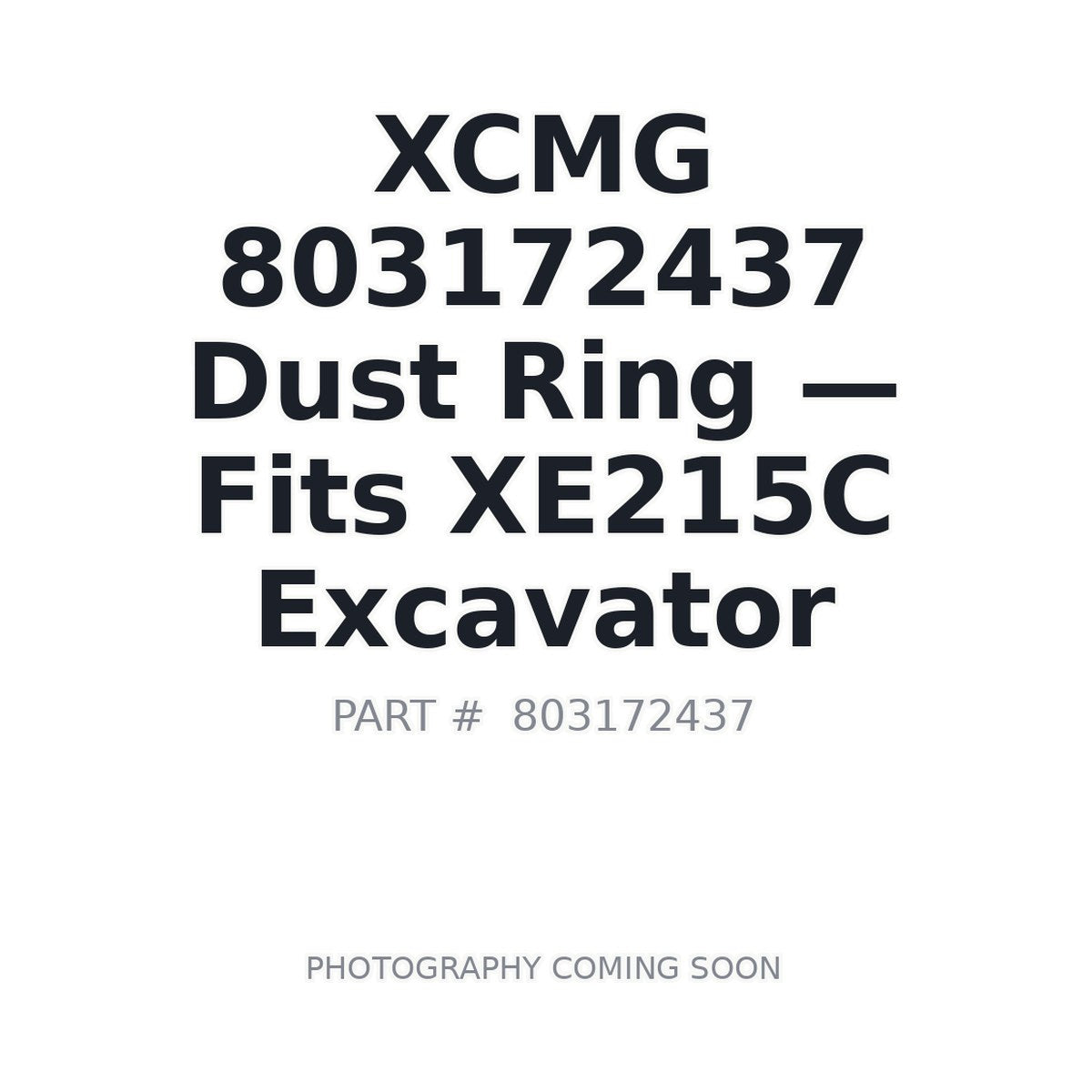 803172437 XCMG Seals
