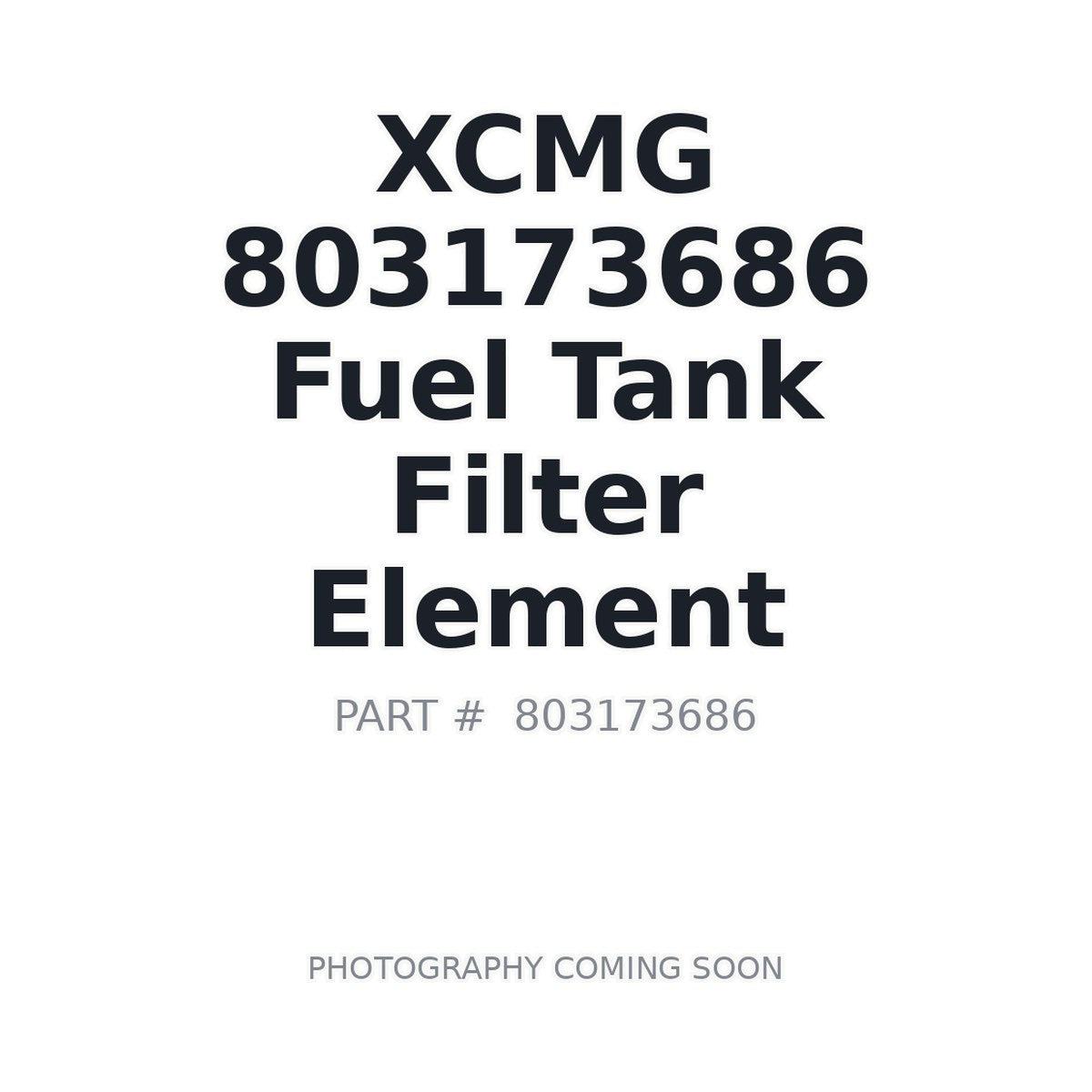 803173686 XCMG Fuel Filter